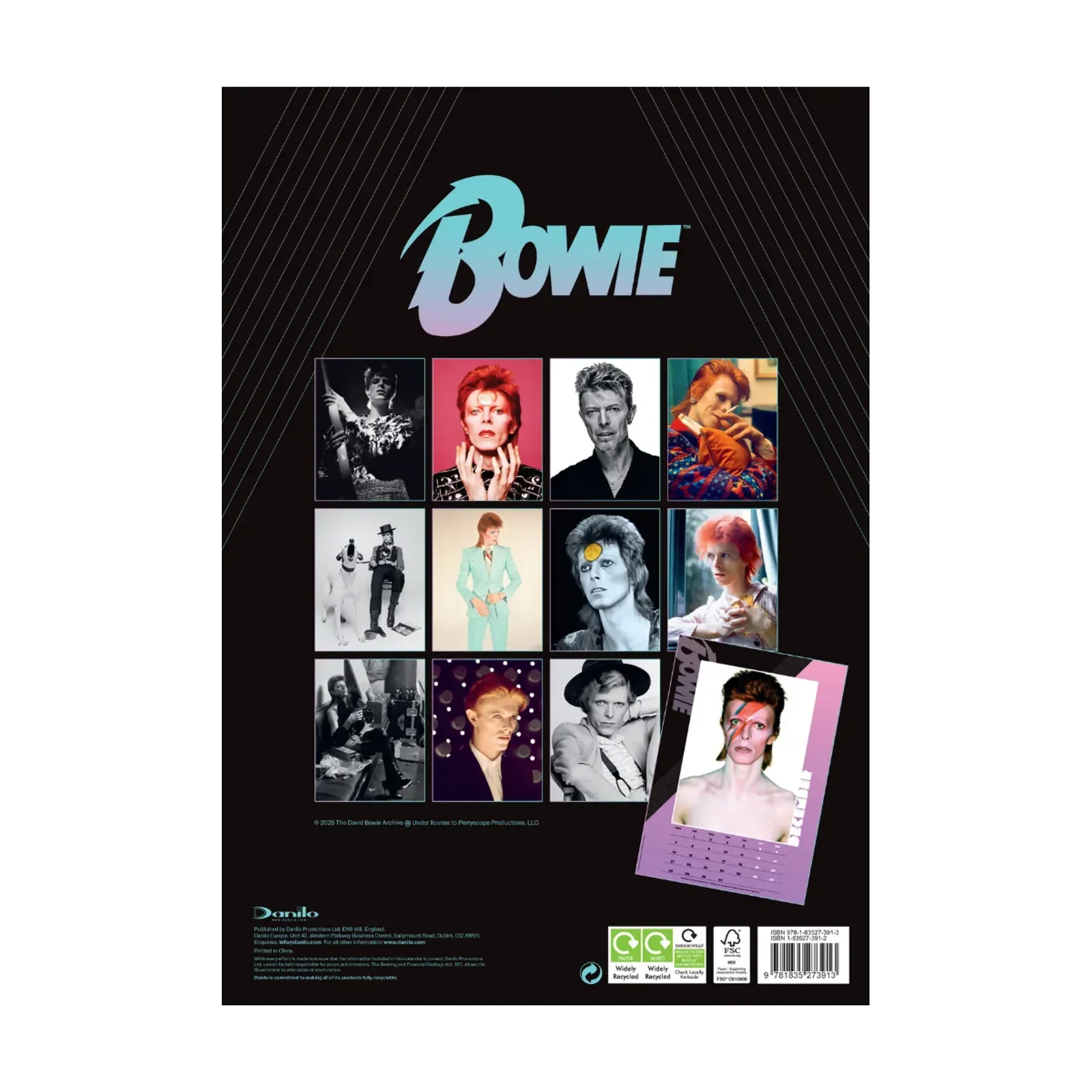 Bowie 16 Month A3 2026 Calendar