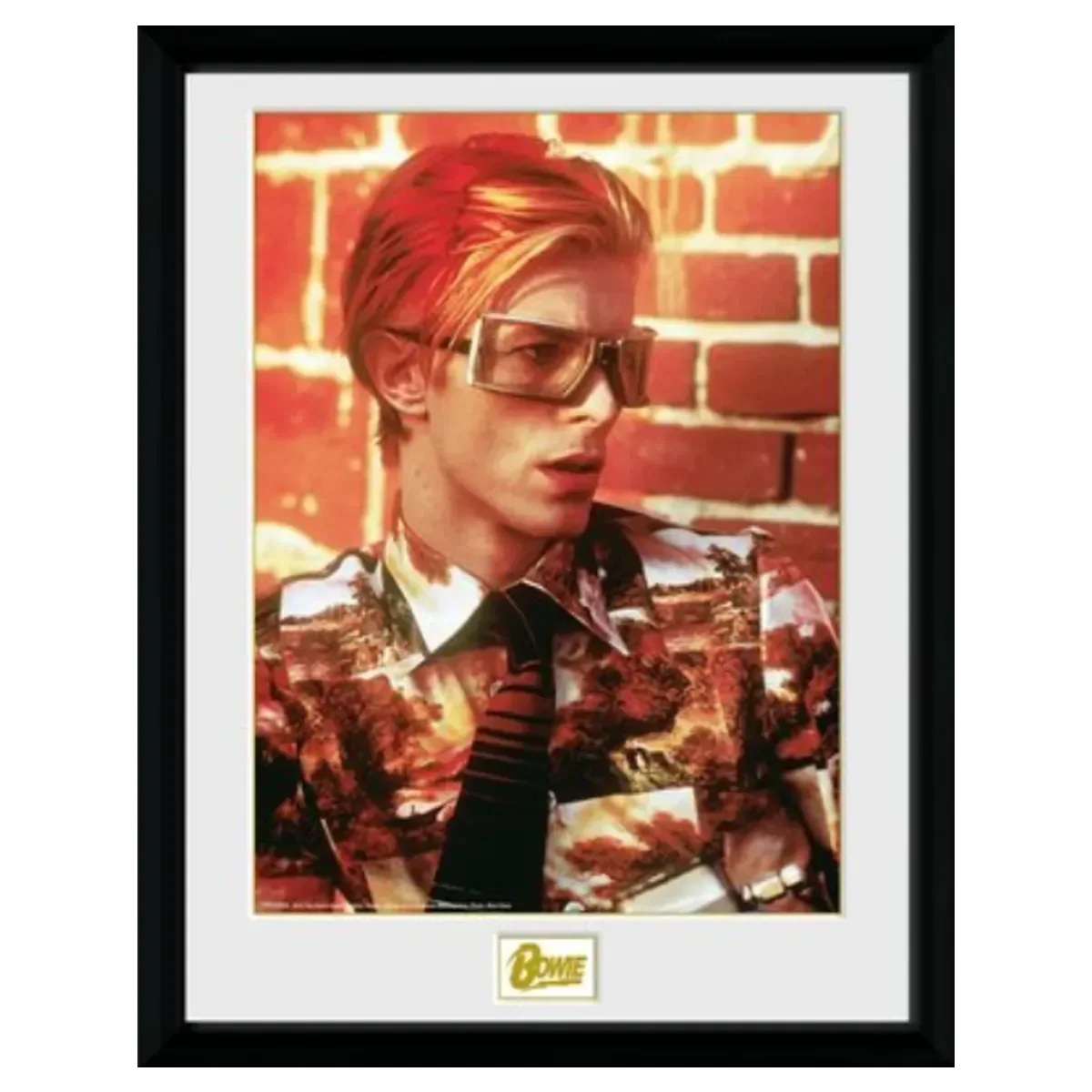 David Bowie Glasses 12"x16" Framed Print