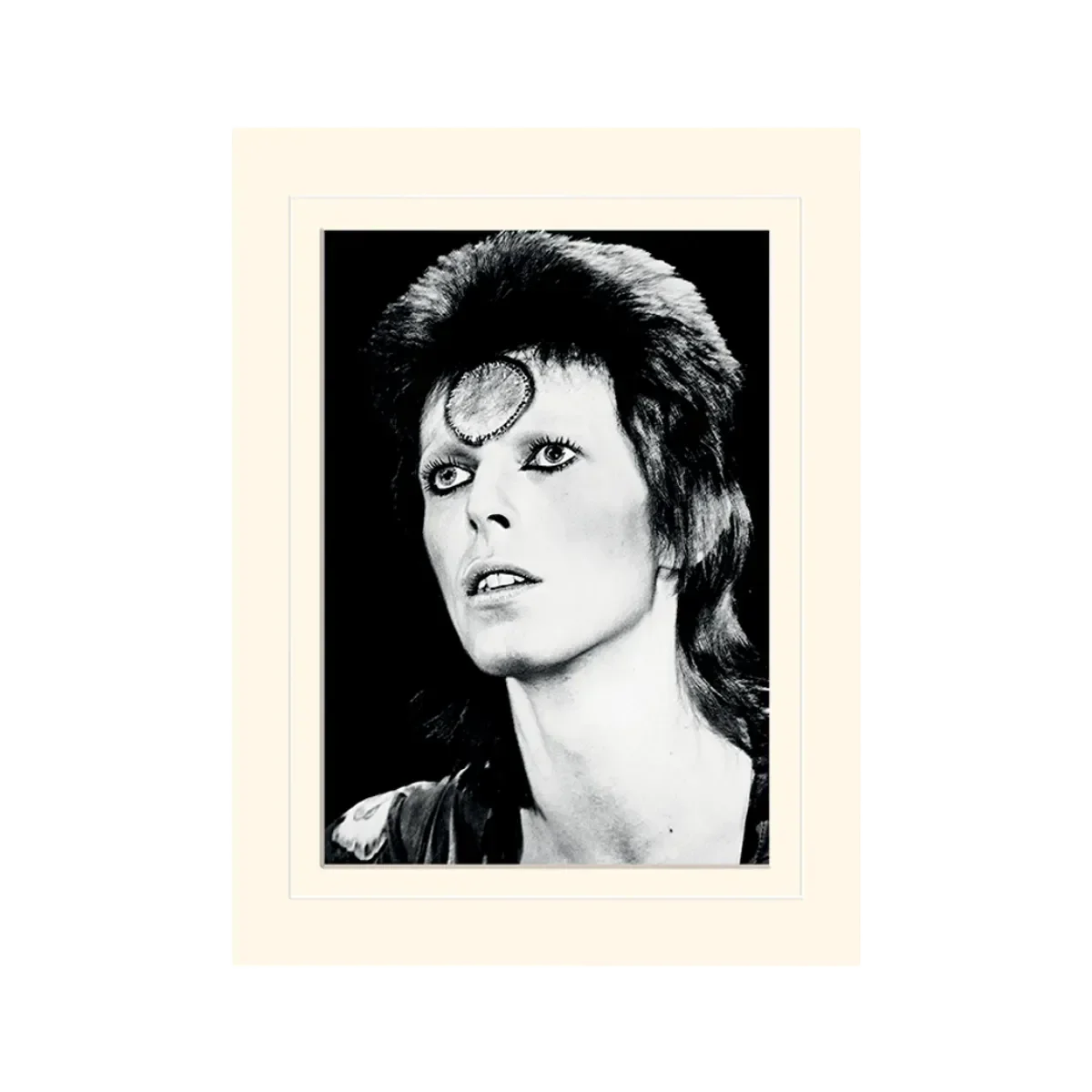 David Bowie Portrait Mounted 30 x 40cm Print