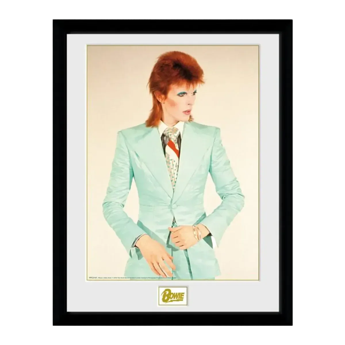 Life on Mars 12" x 16" Framed Print